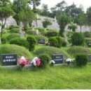 자연장지 이미지