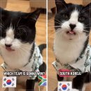 뉴리포스트