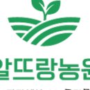 알뜨랑쇼핑