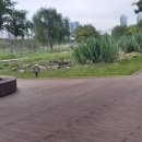 구로-구로-구로-781 이미지