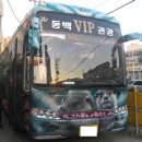 로얄관광여행사 이미지