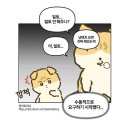 SM, 익명에 숨은 악플+성희롱+초상권 침해 처단 공식화 [공식] 이미지
