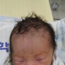 전봉규 이미지