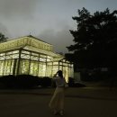 창경농장 | 야간개장 창경궁 대온실 방문후기