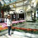 호텔지오 이미지