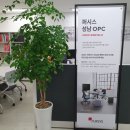 (주)퍼시스씨앤씨 | [오피스탑플랜] 사무실 이사④ _ 퍼시스 성남OPC, 데스커 분당판매점