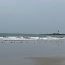 서화수산 | 태안 안면도 여행 해산물 맛집 백사장어촌계수산시장, 서화수산 추천