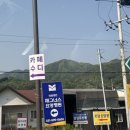 2079 | 남양주애견카페_강아지랑 같이 브런치먹으러 방문하기 좋은 카페 수디