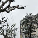 재미슨약국 이미지