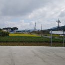 고창바지락칼국수 이미지