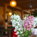 강빛마을 이미지