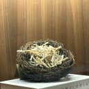 [서울 청담] 삐딱한천재 파인다이닝 오리지널 넘버스