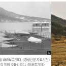 대청호두메마을 Daum카페