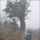 신봉호
