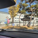 중원-8 | 중부권 가성비 골프장, 중원대학교 파3 후기_충북 괴산 9홀 예약방법, 이용팁 정리