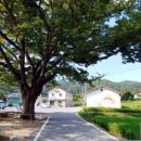 세동반점 이미지