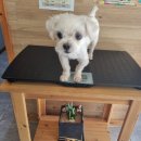 완산체련공원 이미지