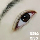 안산 고잔동 속눈썹펌 오이소 내돈내산 후기