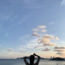 파티디오