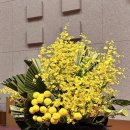 양산신-2023 이미지