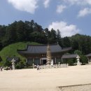 대 산 Daum카페