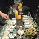 애프터챕터 | [부산 광안리 오션뷰 호텔] 애프터챕터 내돈내산 솔직후기 피스오아시스 / 명상독채탕