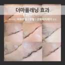 토지금고시장(관리실) 이미지