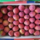 성골 농원 이미지