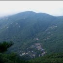 역고개농장 이미지