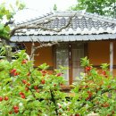 앵두나무우물가에 이미지