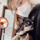 이박사동물병원 이미지