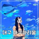 독금농장 | 대구 실내 데이트 코스 추천 신세계 백화점 | 대구 아쿠아리움