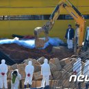 김대홍축산 이미지