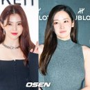 이유프로젝트 이미지