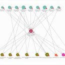 신비세탁 이미지