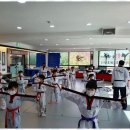 아리랑태권도 이미지