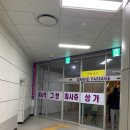 신년운세 사주 타로 하남미사원조타로 '버찌와 타로여행' 후기