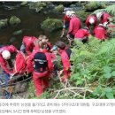 산에서 추락한 주인 살리려고 61미터 비탈길 올라가 도움요청한 댕댕 이미지