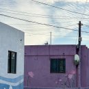 하모상가로 이미지