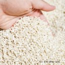 전통주및발효식초 | 수제 막걸리 만드는법 쌀 누룩 만들기 부터 내손으로~! 발효아카데미 센터 전통주 클래스