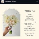 단하우스 | 4. 웨딩 촬영 이것저것 후기 (feat. 헤로하우스, 단하루 헤어변형, 헤르비폴즈)