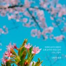 풀꽃