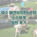 소소하개 이미지