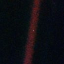 블루닷(BLUE DOT)
