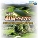 스프링데일 골프&리조트 (대중형 18홀) | 평창 휘닉스CC 골프여행 1박2일 패키지 후기 총정리