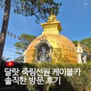 죽림사 | 베트남 달랏 여행 죽림선원 죽림사와 케이블카 솔직한 방문 후기
