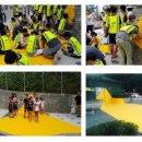 횡단보도옐로카펫 이미지