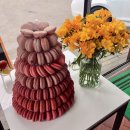 주희농장 이미지