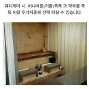 지니앤네일 이미지