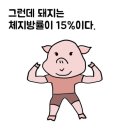 머물곶